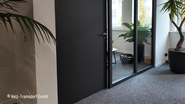 Helles Büro mit dunkler Innentür und Glas-Trennwand, großem Topfgewächs und grauem Teppichboden.